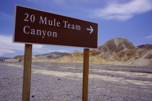 Twenty mule team