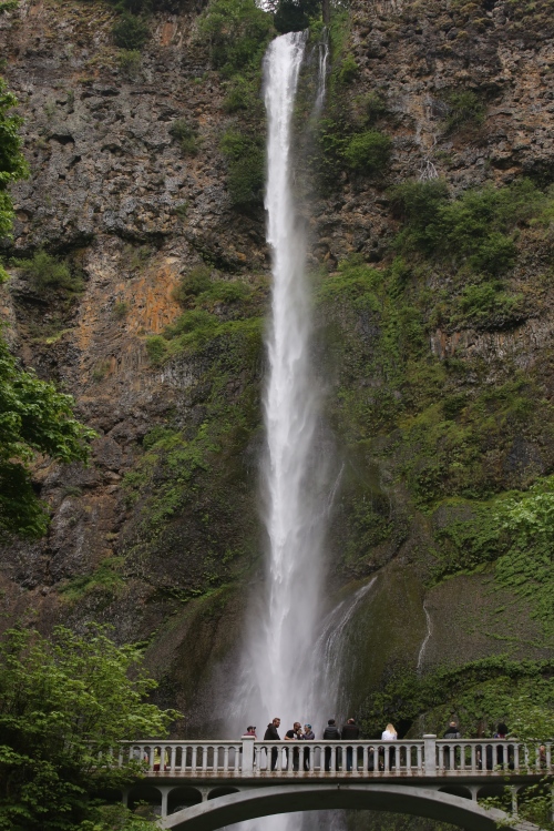600 foot Multnomah Falls
